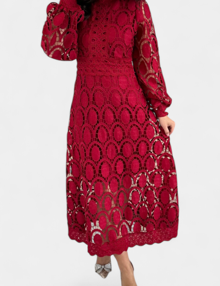 Jovie Vestido Midi de Encaje Bordado con Cuello Alto