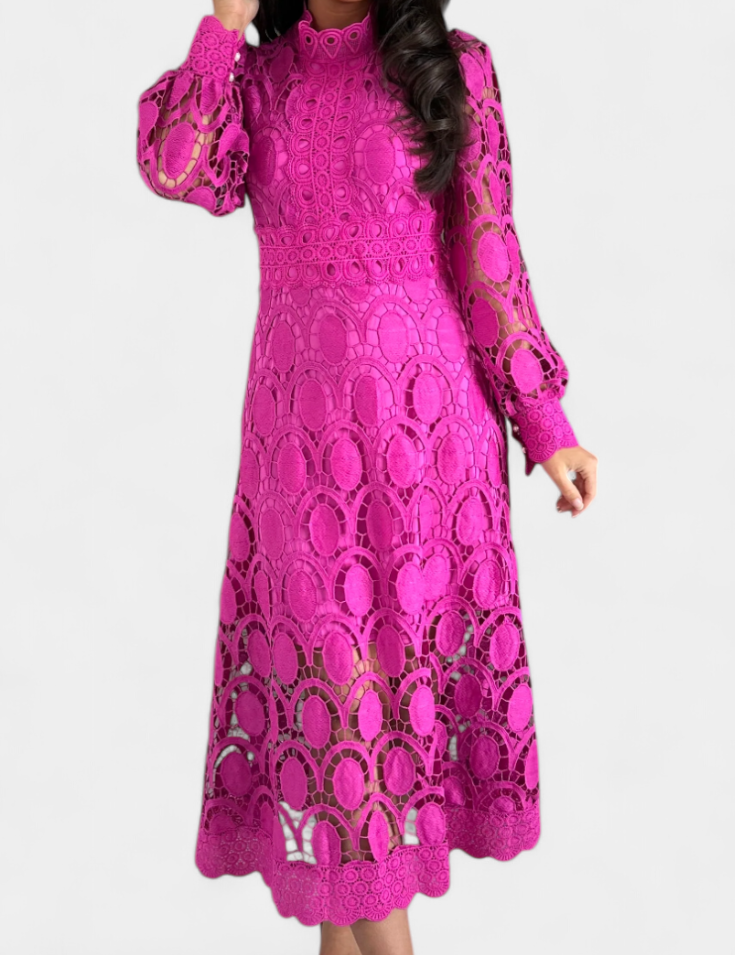 Jovie Vestido Midi de Encaje Bordado con Cuello Alto